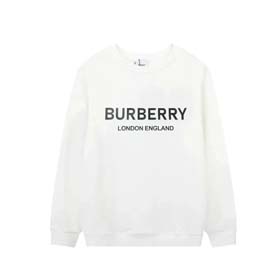 BURBERRY Autumn and winter casual fashion sweatshirt（35 styles)-2272