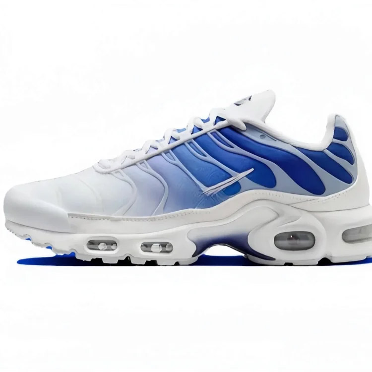 Nike Air Max Plus Classic Comfort Low-Top Air Cushioned Shoes-2869